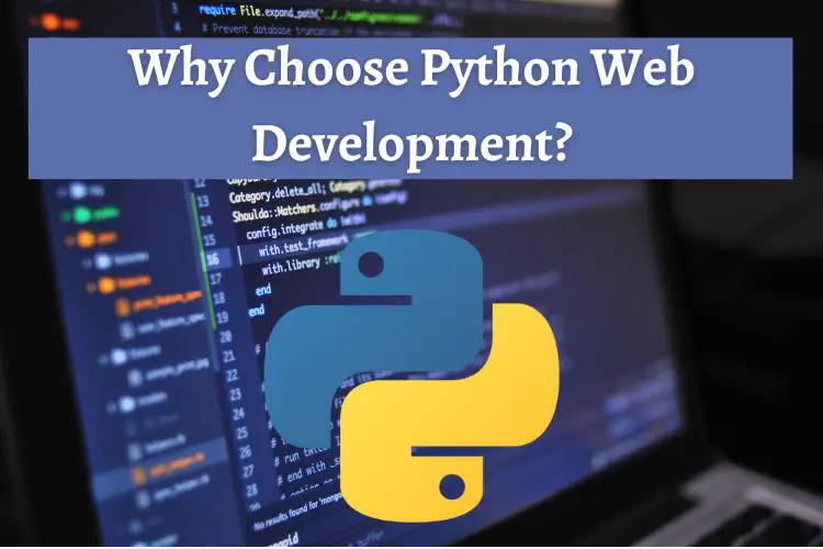 How Python Development Can Benefit Your Business (1)-ef7bd22d