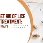 How To Get Rid Of Lice Without Treatment 5 Natural Ways Lice-8ff5e634