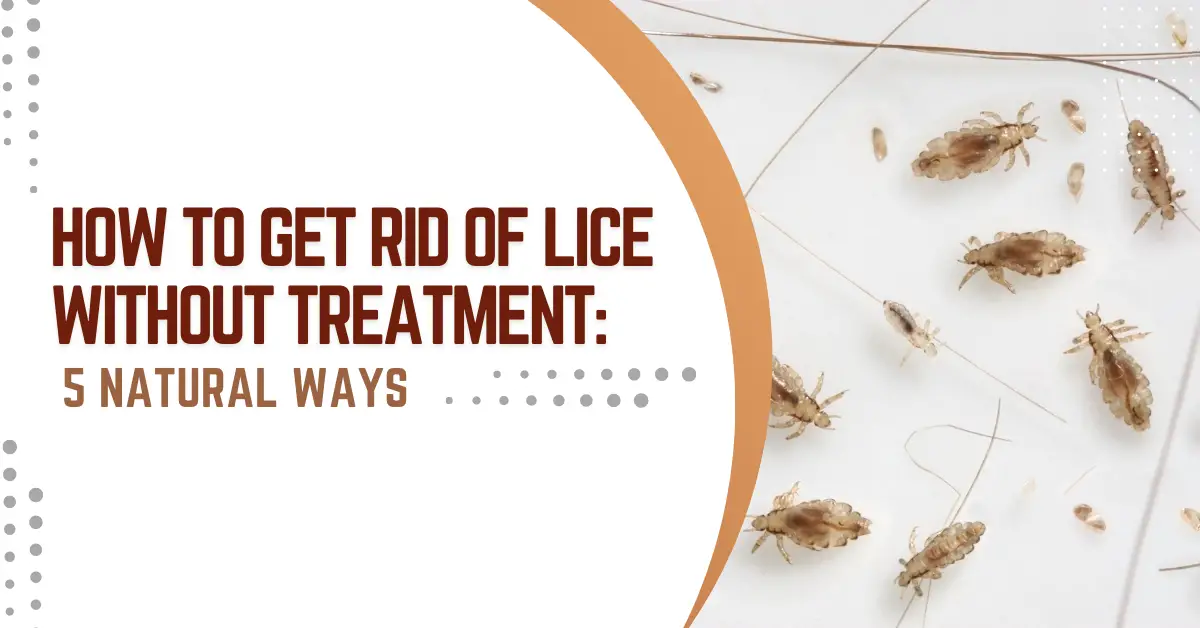 How To Get Rid Of Lice Without Treatment 5 Natural Ways Lice-8ff5e634