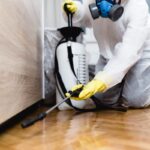 Is It Cheaper To Do Your Own Pest Control-167b0f56