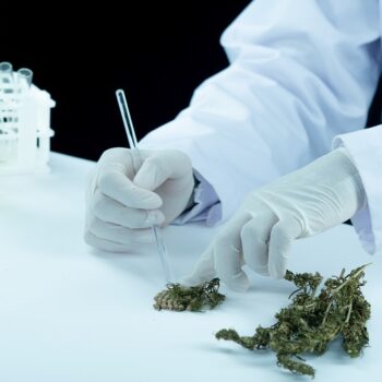 Medical Marijuana Evaluations in Norman-09cdddcd