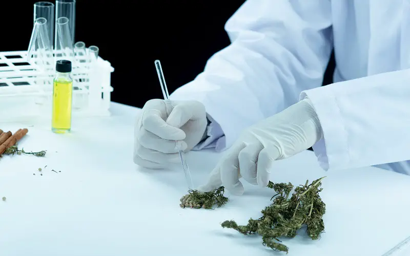 Medical Marijuana Evaluations in Norman-09cdddcd