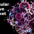 Molecular Sieve Market-Growth Market Reports-a9f68423