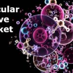 Molecular Sieve Market-Growth Market Reports-a9f68423