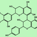 Proanthocyanidins-0ac45c2b