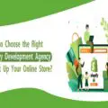 Shopify Development Agency-0e5deed3
