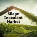 Silage Inoculant Market-Growth Market Reports-7123a718