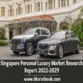 Singapore Personal Luxury Market Research Report 2022-2029-a9db7205