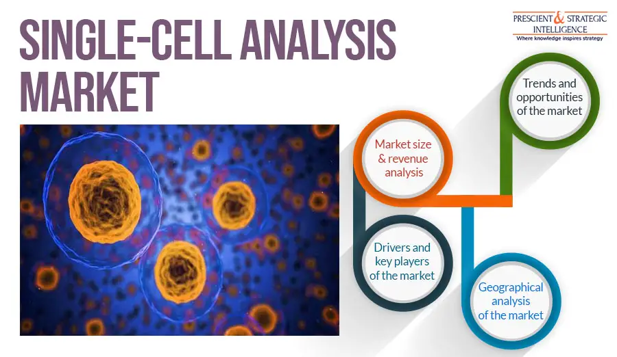Single-Cell Analysis Market-91158228