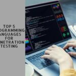 Top 5 Programming Languages for Penetration Testing-899ff708
