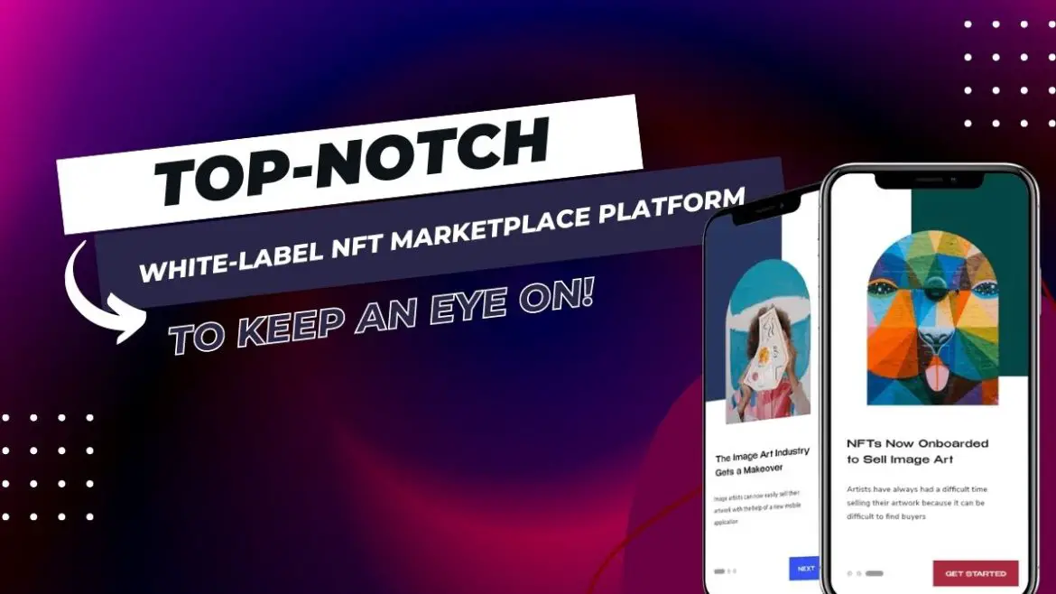Top-Notch-White-label-NFT-Marketplace-Platform-To-Keep-An-Eye-On-1170x658-042de2e3