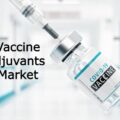 Vaccine Adjuvants  Market-Growth Market Reports-df01a9d0