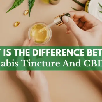 What Is The Difference Between Cannabis Tincture And CBD Oil-d25e04fb