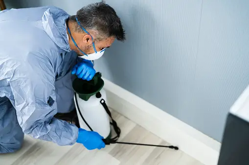 Pest control companies are a lot like the weather because they're unpredictable. You never know what type of season you'll have until it's over. That's why it's important to prepare your pest control company for busy times