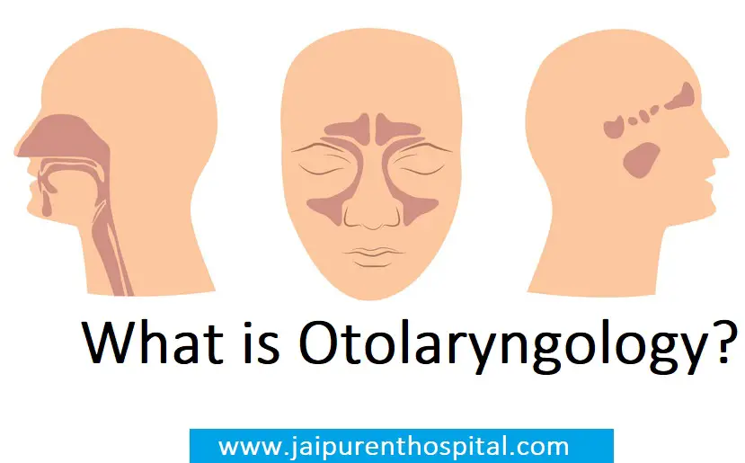 what_is_otolaryngology-a571cfd4