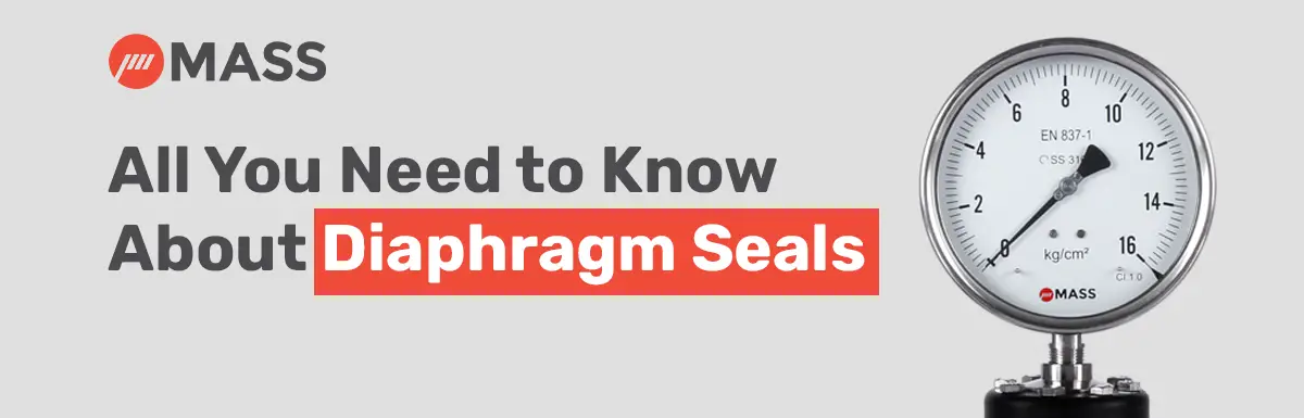 Advantages & Types of Diaphragm Seal-f4524f8b