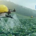Artificial Intelligence in Agriculture Market-e95ff9c9