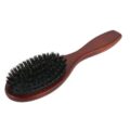 Boar Brushes-499b04e2