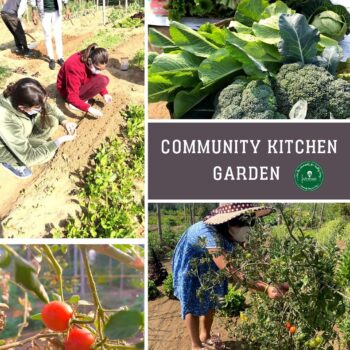 Community Kitchen Garden-276b68ef
