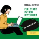 Fullstack Python developer-0d8b5621