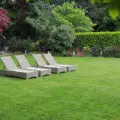 Garden Clearance Merton: Garden Clearing Services Complete Professionally