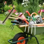 Garden Clearance Merton: How Do I Save Money When Clearing My Garden?