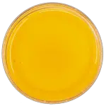 KND20_Product_03_compliant-full-spectrum-distillate-3-91cb3752