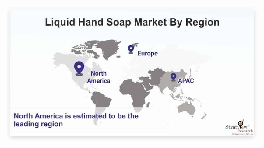 Liquid Hand Soap Market-84619913