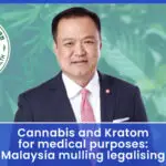 Cannabis and Kratom for medical purposes: Malaysia mulling legalising