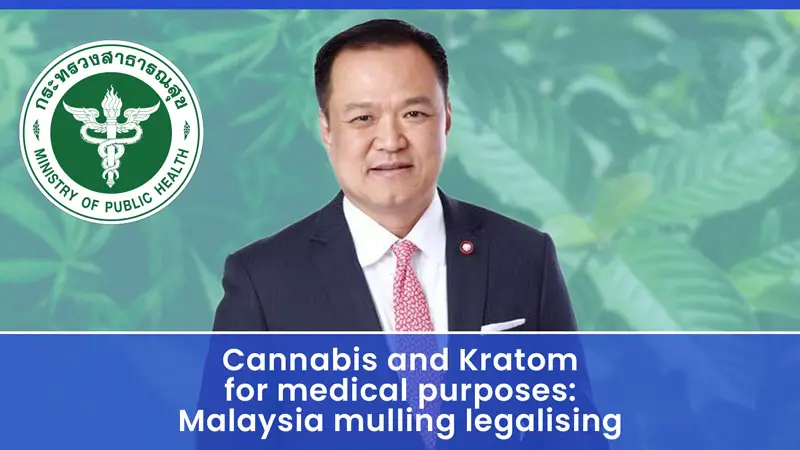 Cannabis and Kratom for medical purposes: Malaysia mulling legalising