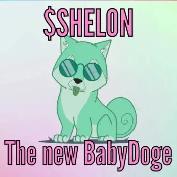 The new Babydoge-5148431c