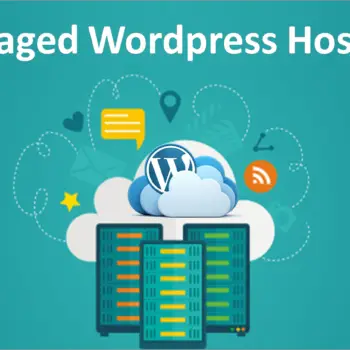 Wordpress Corporate Hosting Australia-ddd330ed