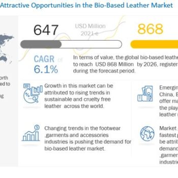 bio-based-leather-market-1becff20