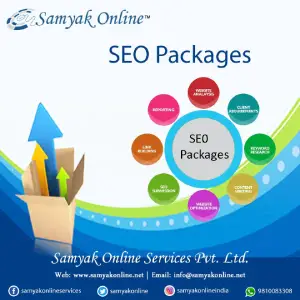 seo packeges-8dba66d9