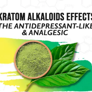 The Antidepressant-Like and Analgesic Effects of Kratom