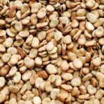 Bulk beans supplier-819d55ad