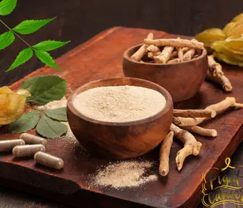 Cancer Treatment by Ayurveda in Thane-4525ca45