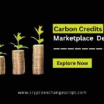 Carbon credits NFT Marketplace Development Company-ebaa5695