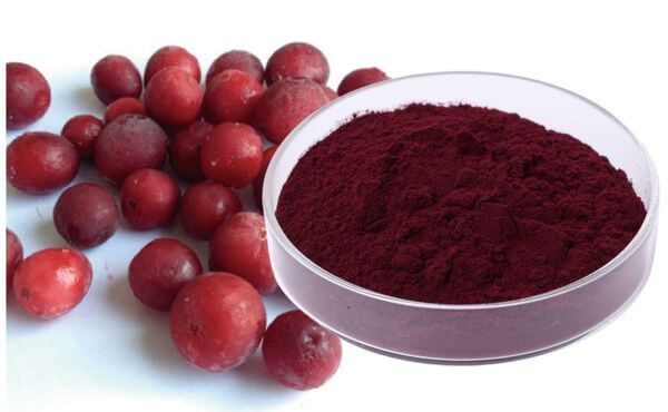 Cranberry-Extract-b3f9fa56
