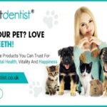 Dental Care for Pets-df65079d