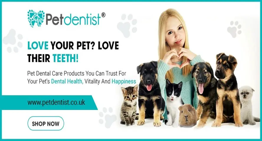 Dental Care for Pets-df65079d