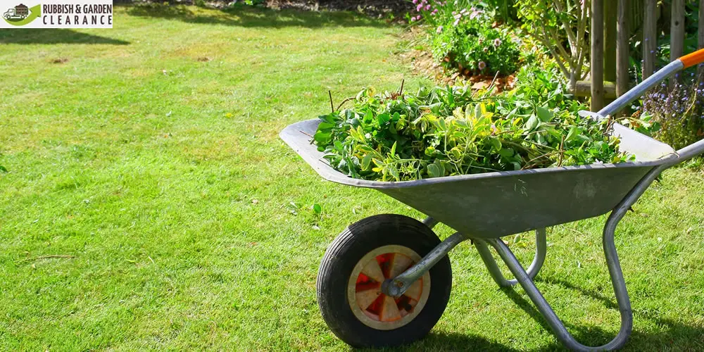 The Ultimate Guide to Garden clearance Services in Croydon
