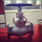 Globe valve manufacturer in India-96c1d47a