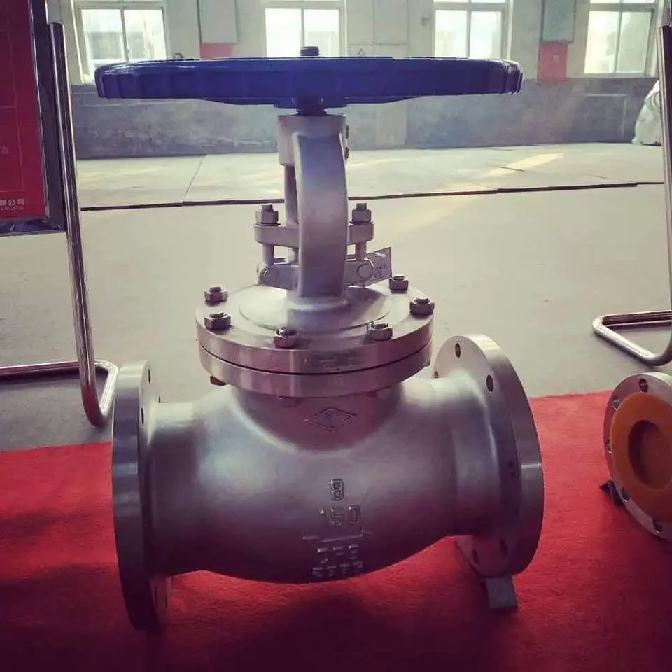 Globe valve manufacturer in India-96c1d47a