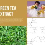 Green-tea-extract-e7eba9ee