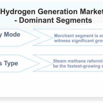 Hydrogen-Generation-Market-Dominant-Segments_88530-c28e4225