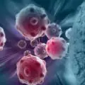 Immuno-oncology-e9e97c7d