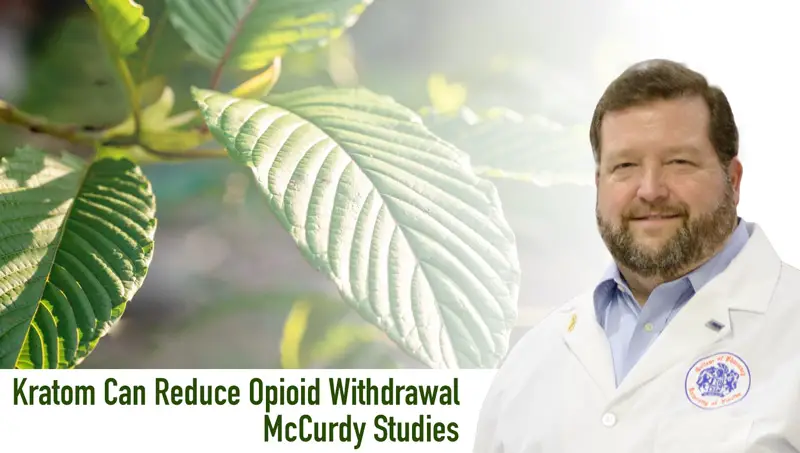 Kratom Can Reduce Opioid Withdrawal - McCurdy Studies