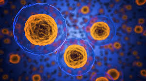Oncolytic Virotherapy Market-2c46539c