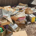The Environmental Benefits of Organizing for Rubbish Clearance Merton8